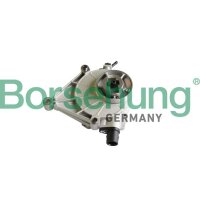 Borsehung B12221 Unterdruckpumpe, Bremsanlage