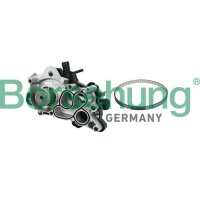 Borsehung B11207 Wasserpumpe, Motorkühlung