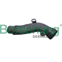 Borsehung B12348 Schlauch, Kurbelgehäuseentlüftung