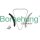 Borsehung B19257 Steuerkettensatz