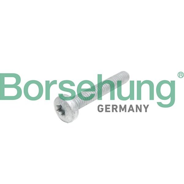 Borsehung B10645 Zylinderkopfschraube