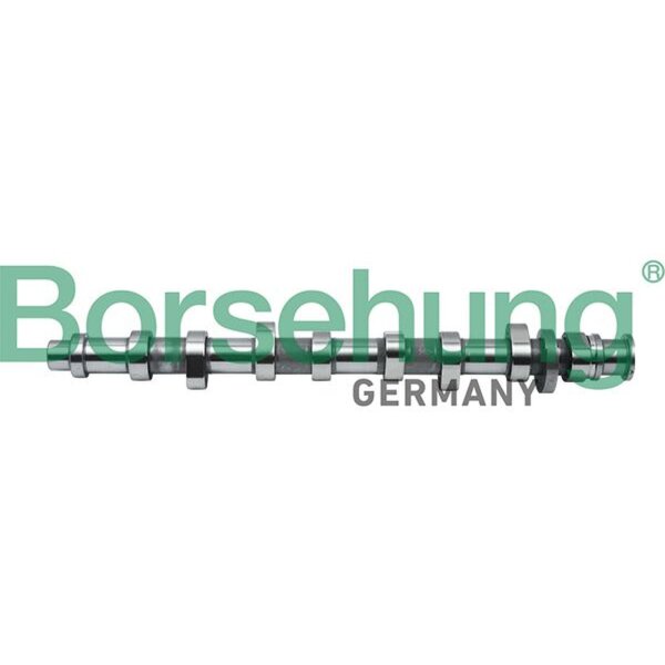 Borsehung B18805 Nockenwelle