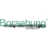 Borsehung B18805 Nockenwelle