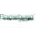 Borsehung B18805 Nockenwelle