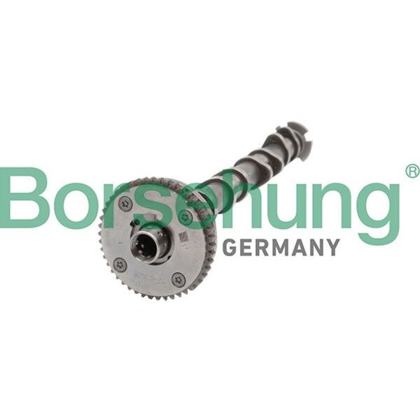 Borsehung B11319 Nockenwelle