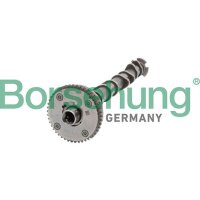 Borsehung B11319 Nockenwelle