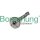 Borsehung B11319 Nockenwelle