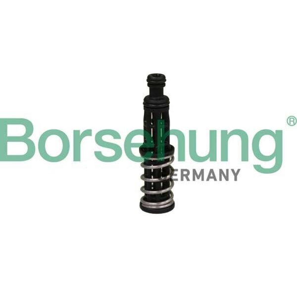 Borsehung B12309 Öldruckventil