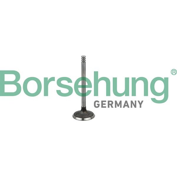 Borsehung B19029 Einlassventil