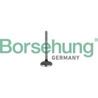 Borsehung B19029 Einlassventil