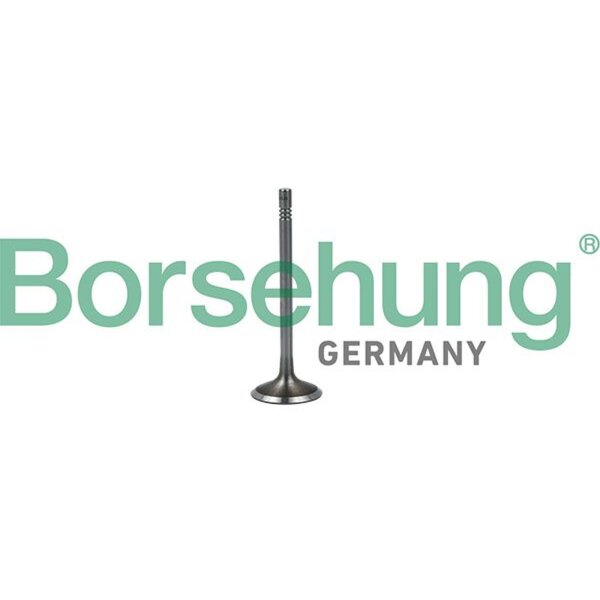 Borsehung B19023 Einlassventil