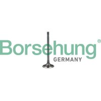 Borsehung B19023 Einlassventil
