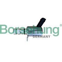Borsehung B12313 Öldruckventil