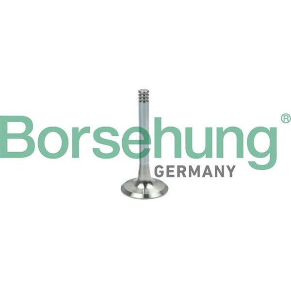 Borsehung B19002 Auslassventil