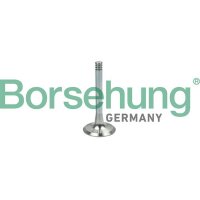 Borsehung B19002 Auslassventil