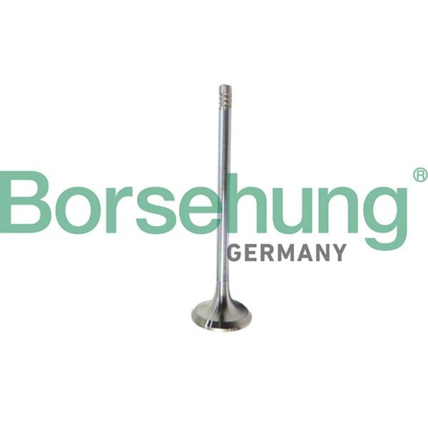 Borsehung B10321 Auslassventil