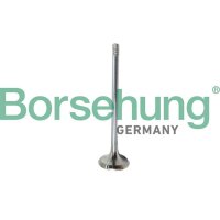 Borsehung B10321 Auslassventil