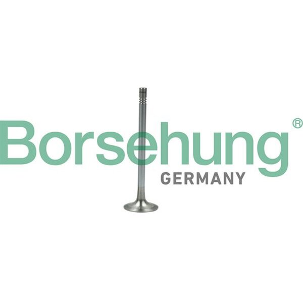 Borsehung B19007 Auslassventil