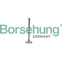 Borsehung B19007 Auslassventil