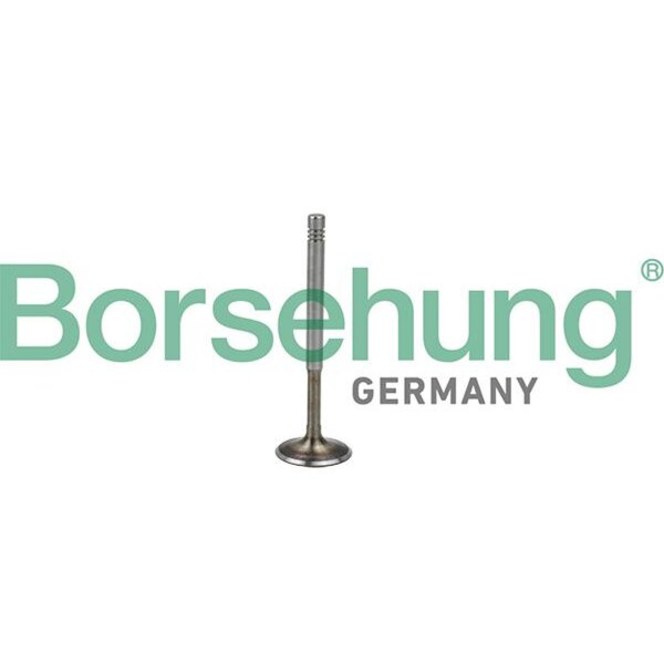 Borsehung B19009 Auslassventil