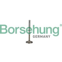 Borsehung B19009 Auslassventil