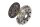 Schaeffler LuK 621 3157 09 Kupplungssatz
