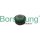 Borsehung B12311 Zahnrad, Ausgleichswelle