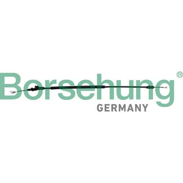 Borsehung B12342 Seilzug, Türentriegelung