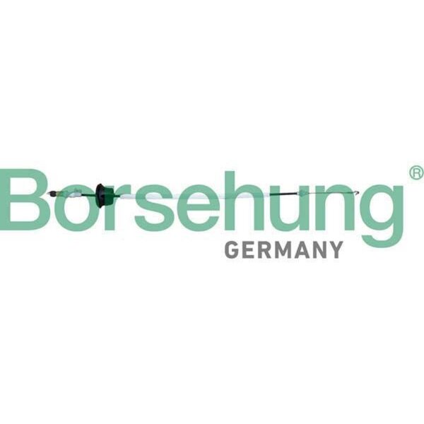 Borsehung B10792 Seilzug, Türentriegelung