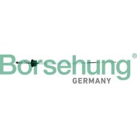 Borsehung B10792 Seilzug, Türentriegelung