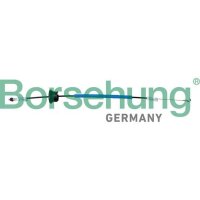 Borsehung B10785 Seilzug, Türentriegelung