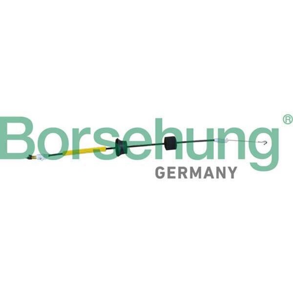 Borsehung B10787 Seilzug, Türentriegelung