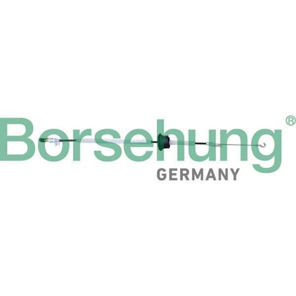 Borsehung B10788 Seilzug, Türentriegelung