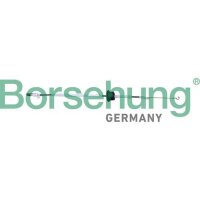 Borsehung B10788 Seilzug, Türentriegelung