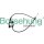 Borsehung B10779 Motorhaubenzug