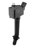 BorgWarner (BERU) ZSE293 Zündspule