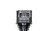 BorgWarner (BERU) ZSE302 Zündspule
