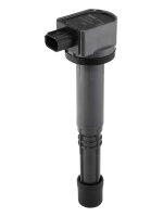 BorgWarner (BERU) ZSE303 Zündspule