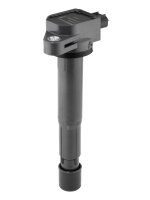 BorgWarner (BERU) ZSE304 Zündspule
