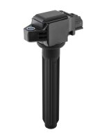 BorgWarner (BERU) ZSE320 Zündspule