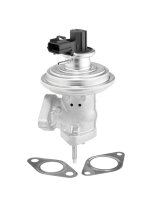 BorgWarner 712071D AGR-Ventil