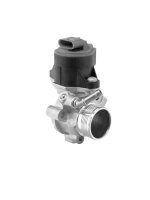 BorgWarner 710525D AGR-Ventil