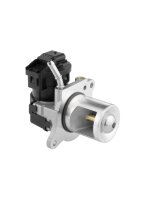 BorgWarner 710095D/1 AGR-Ventil