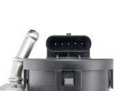BorgWarner 710095D/1 AGR-Ventil