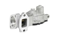 BorgWarner 712074D AGR-Ventil