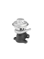 BorgWarner 712069D AGR-Ventil