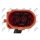 NTY EGT-AU-070 Sensor, Abgastemperatur
