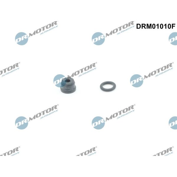 Dr.Motor Automotive DRM01010F Reparatursatz, Kupplungsgeberzylinder