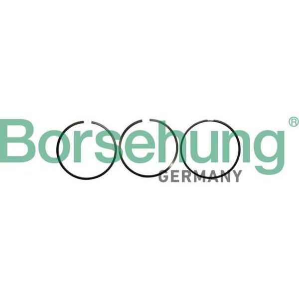 Borsehung B10362 Kolbenringsatz