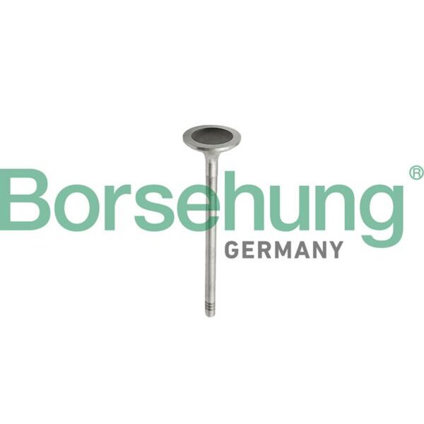 Borsehung B10343 Einlassventil
